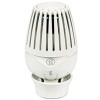 Thermostatkopf Giacomini R460